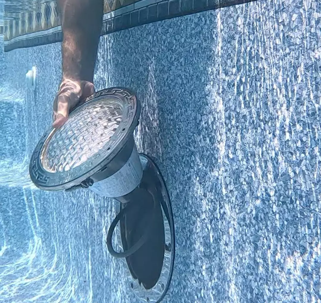 swimming pool contractors