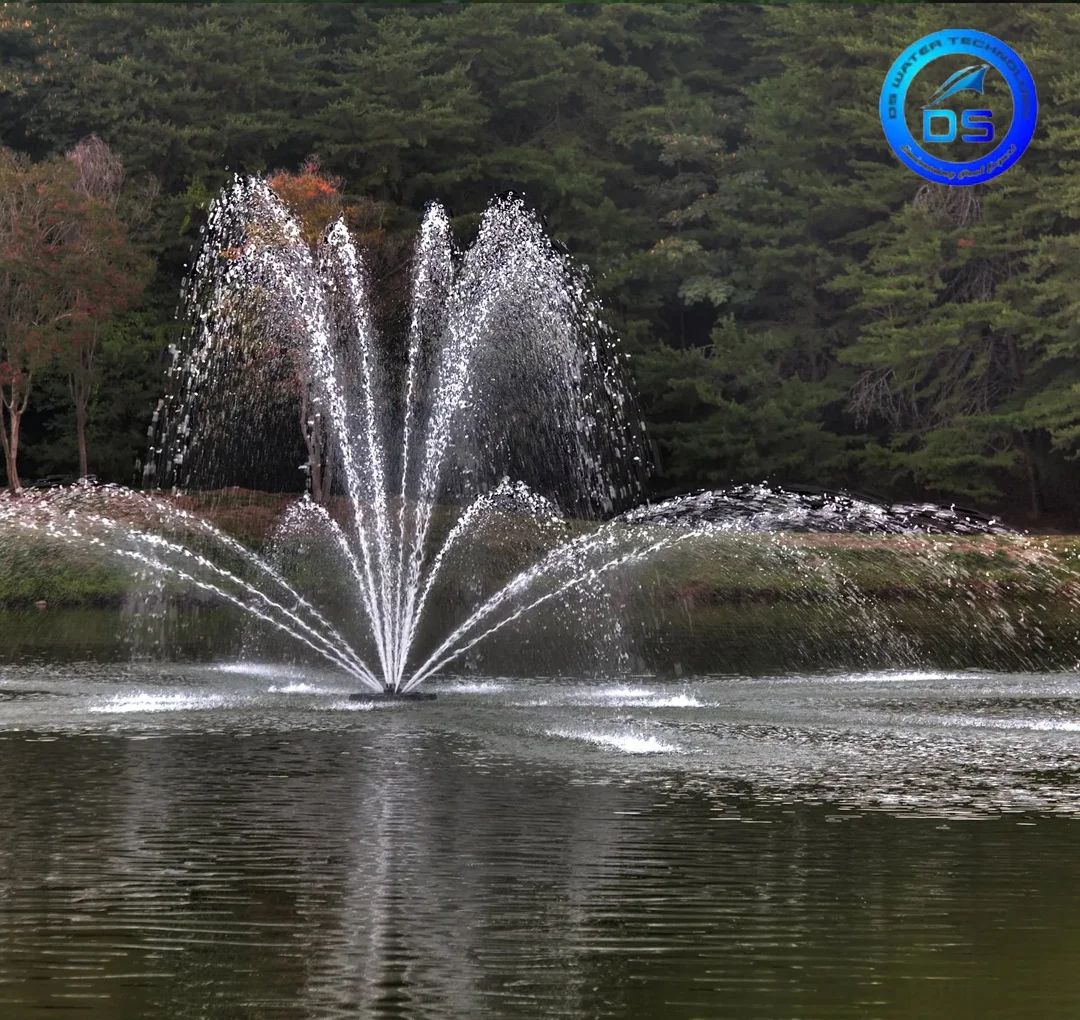 swimming pool and fountain services delhi